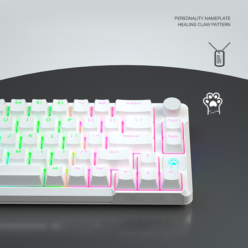 Wireless Electronics Notebook  - مراجعة Pc Gaming Price وسعره