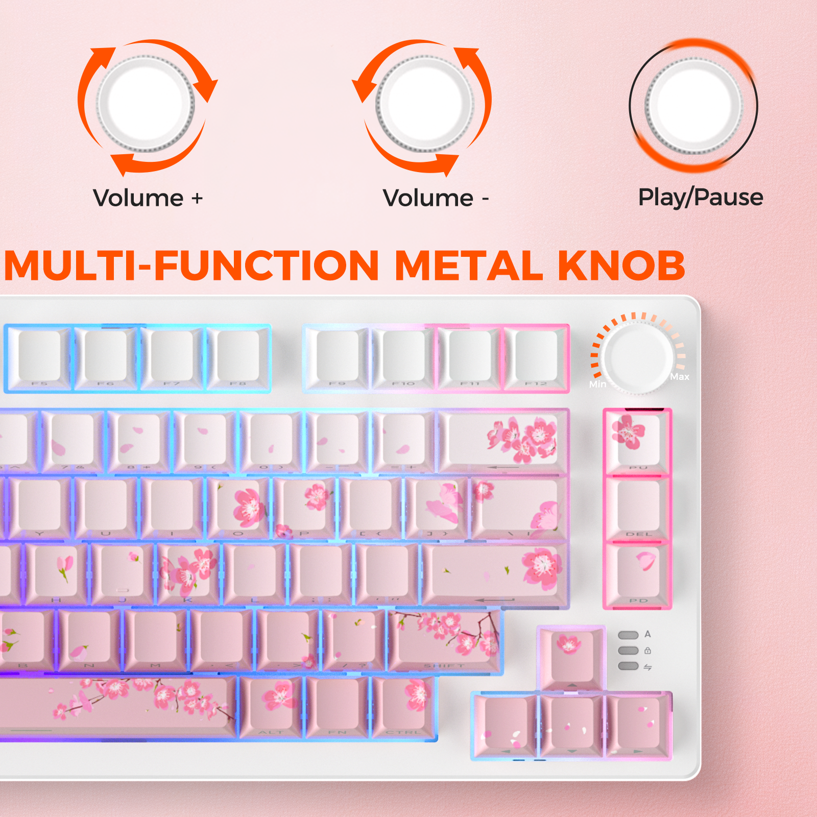 DAREU Tri-mode Gasket Mechanic - مراجعة Anti-Ghosting Keyboard وسعره